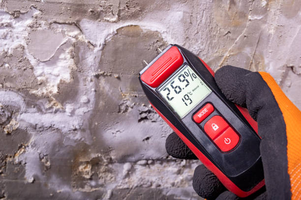 Best Mold Inspection  in Severn, MD