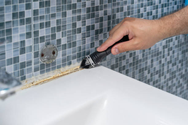Best Best Mold Removal Companies  in Severn, MD