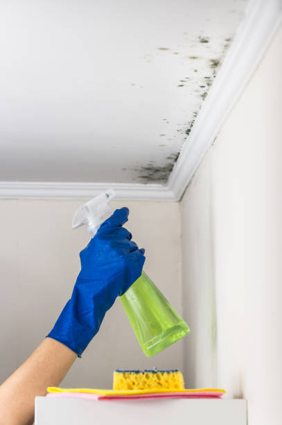 Best Mold Testing  in Severn, MD